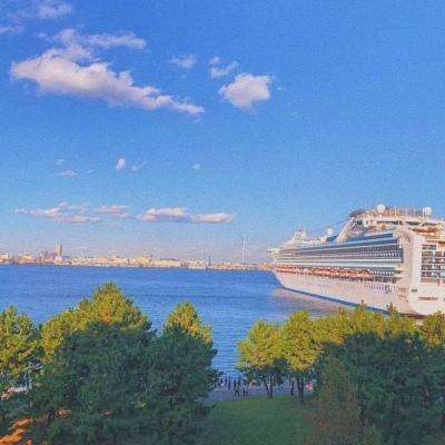 云顶官网手机版截图1