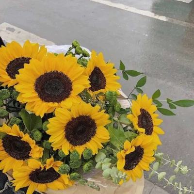 开云下载(kaiyun)截图0