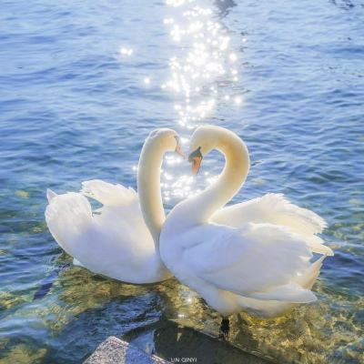 开云棋牌app下载截图4