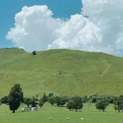 365娱乐下载截图4