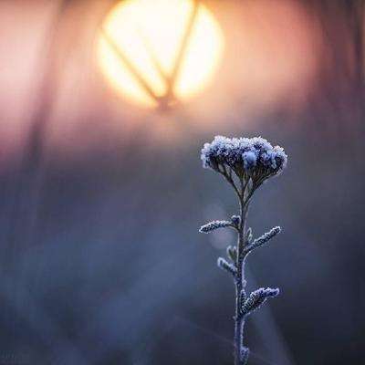 九州酷游平台登录入口截图4