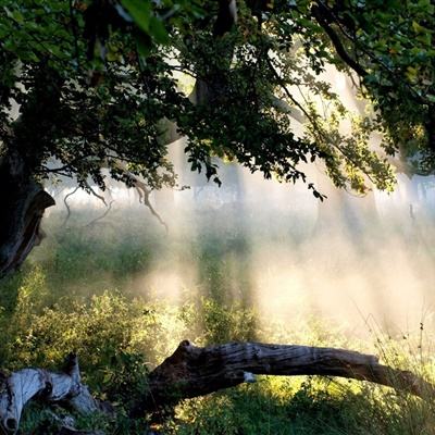 百度地图导航下载2020新版安装截图1