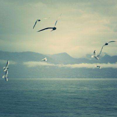 澳门马会传真论坛188.53com