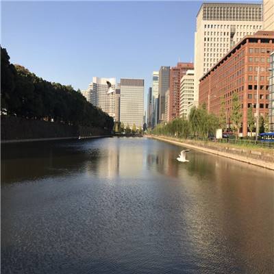 威斯尼斯老官网截图1