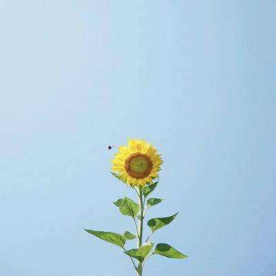 【乐鱼官方入口】