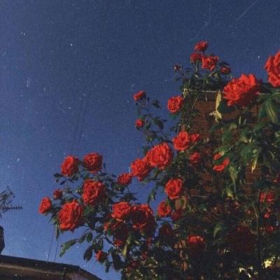 威尼斯ag手机客户端截图3