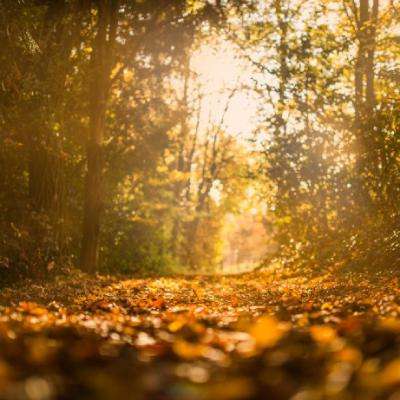 香港118论坛截图3