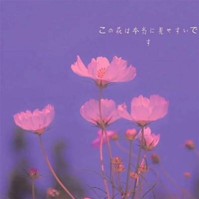 68国际app下载截图3