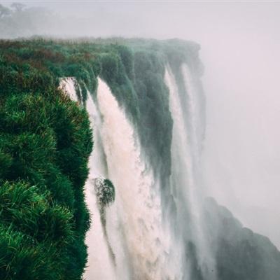 利记app官网(中国)官方网站截图2