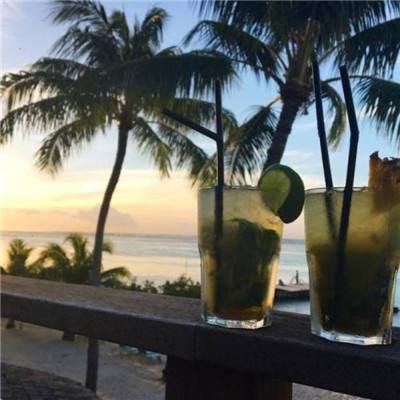 米乐真人登录截图