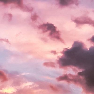 正版澳门49图库资料app下载