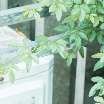 bb电子游艺截图0