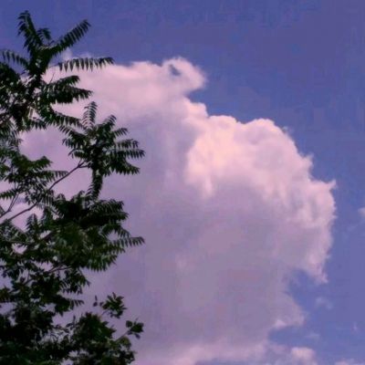 澳门美狮美高梅官方网站截图4