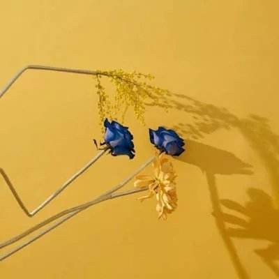 387777摇钱树网站截图2